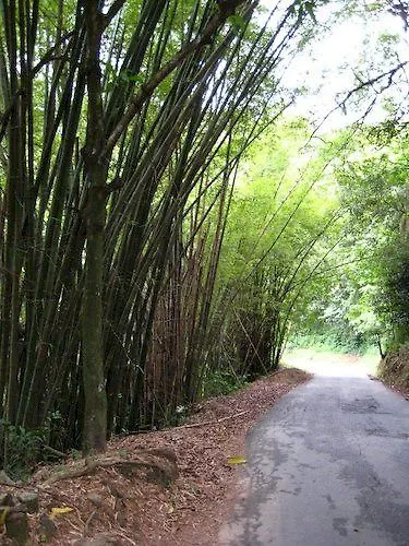 Amanecer Retreat And Spa Lopinot Trinidad And Tobago