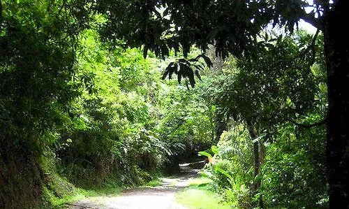 Hotel Amanecer Retreat And Spa Lopinot